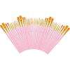 imageSoucolor Acrylic Paint Brushes Set 20Pcs Round Pointed Tip Artist Paintbrushes for Acrylic Painting Oil Watercolor Canvas Boards Rock Body Face Nail Art Halloween Pumpkin Ceramic Crafts SuppliesPink