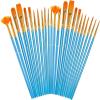 imageSoucolor Acrylic Paint Brushes Set 20Pcs Round Pointed Tip Artist Paintbrushes for Acrylic Painting Oil Watercolor Canvas Boards Rock Body Face Nail Art Halloween Pumpkin Ceramic Crafts SuppliesBlue