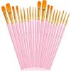 imageSoucolor Acrylic Paint Brushes Set 20Pcs Round Pointed Tip Artist Paintbrushes for Acrylic Painting Oil Watercolor Canvas Boards Rock Body Face Nail Art Halloween Pumpkin Ceramic Crafts SuppliesPink